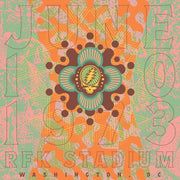 Grateful Dead - RFK Stadium, Washington, DC 6/10/73 (Live, 8-LP Vinyl)