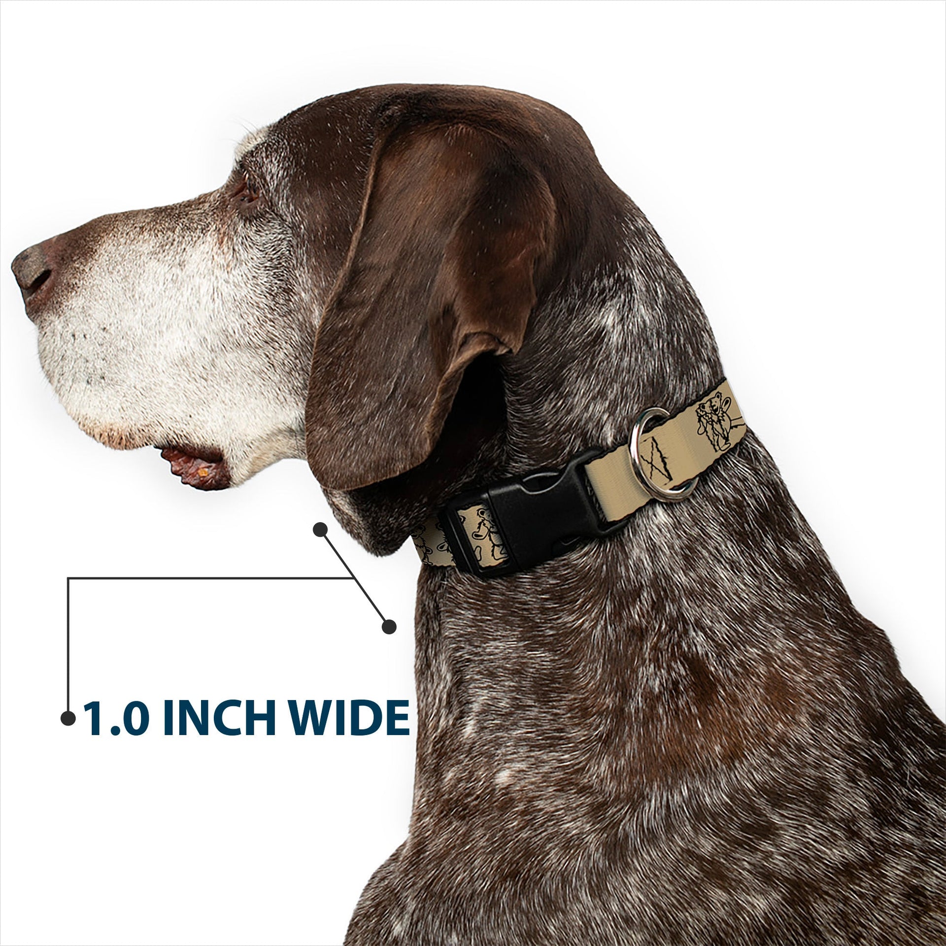 Grateful Dead Dog Collar | Tan/Black Dancing Bears