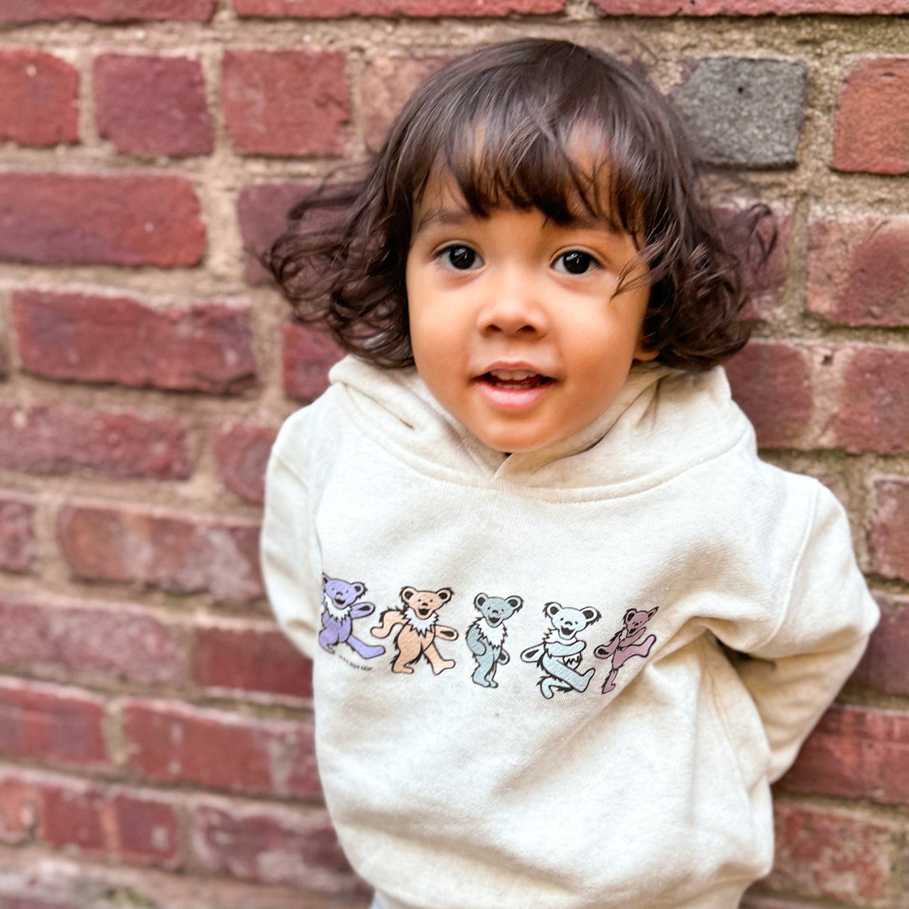 Grateful Dead Pastel Bears Toddler Hoodie