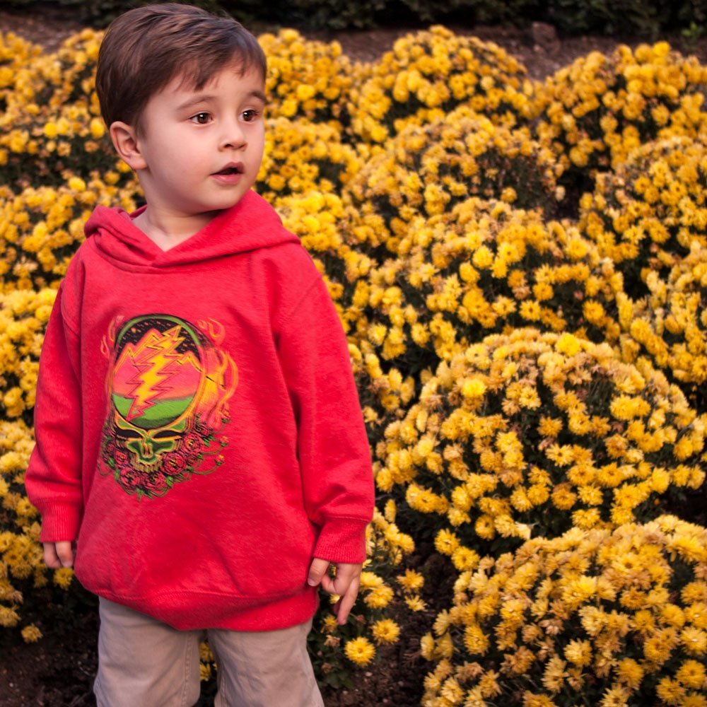 Grateful Dead Scarlet Fire Steal Your Face Toddler Hoodie