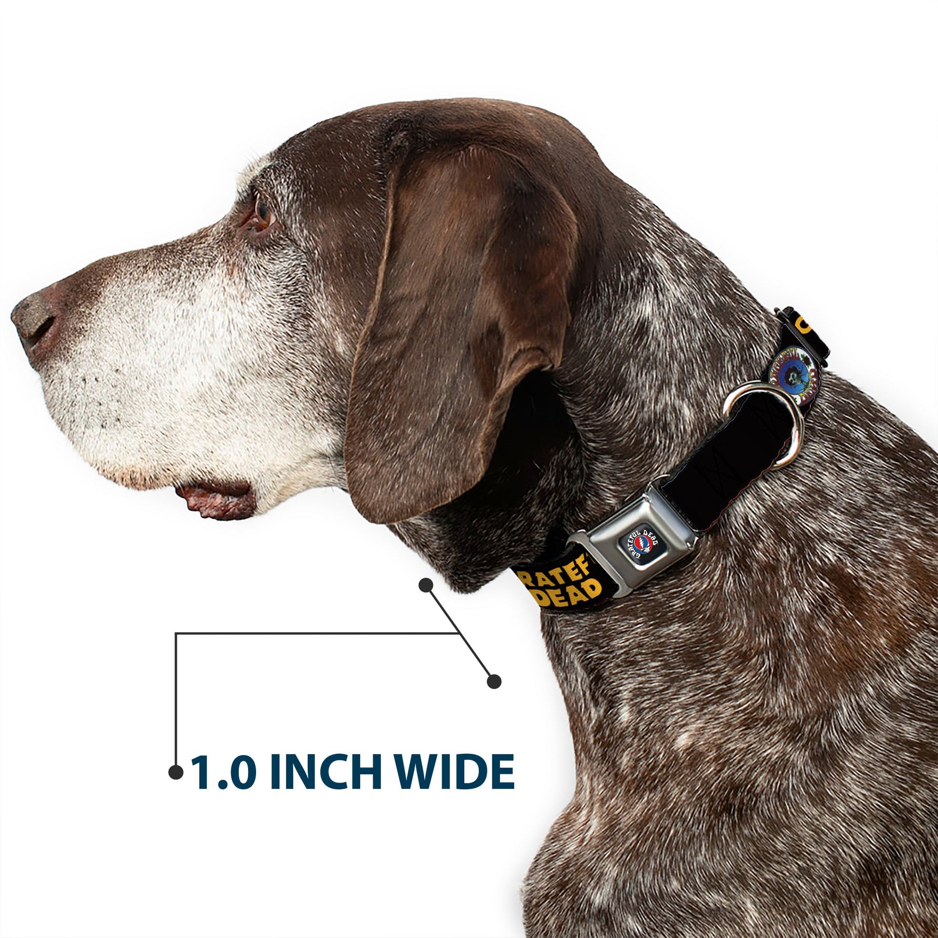 Grateful Dead Seatbelt Buckle Pet Collar | Black/Yellow Text + Skull & Roses (Steal Your Face Buckle)