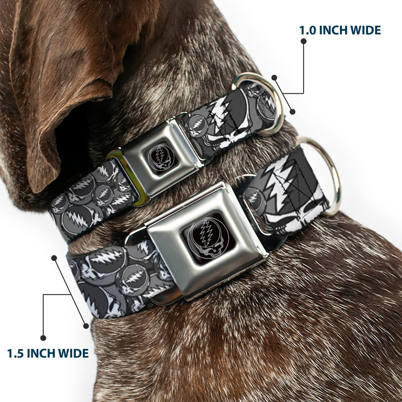 Grateful Dead Seatbelt Buckle Pet Collar | Gray Steal Your Face Stacked (Steal Your Face Buckle)