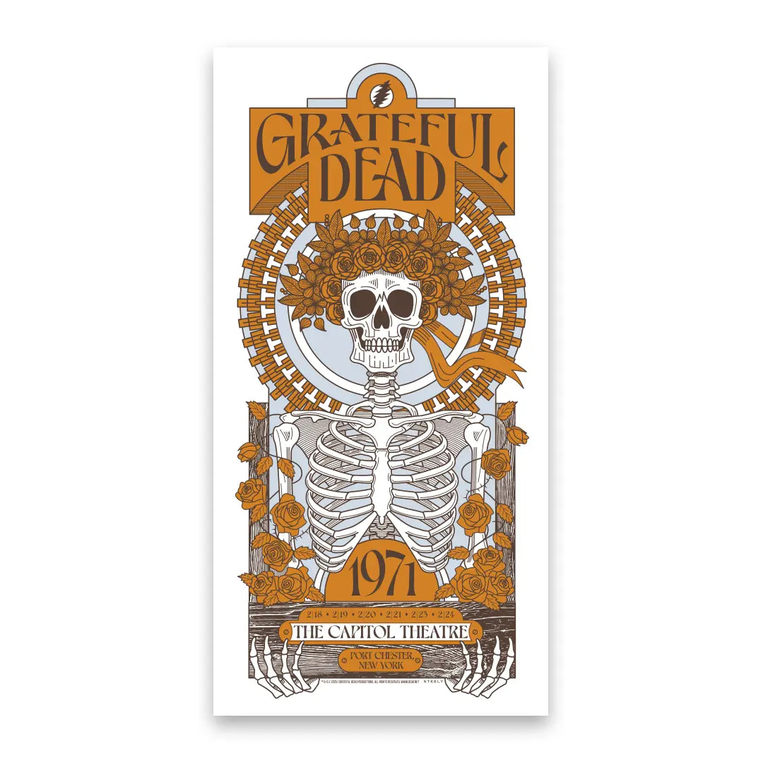 GREATFUL DEAD パンフレット Grateful Dead (February 1971) 6-Show Run V6 Poster by Brian Steely