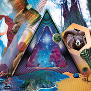 311 – Universal Pulse (CD)