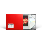 the album cover for Nine Inch Nails - Nine Inch Noize (Phot)
