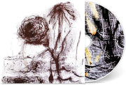 the album cover for William Basinski - Passing The Cup Of Sorrows
