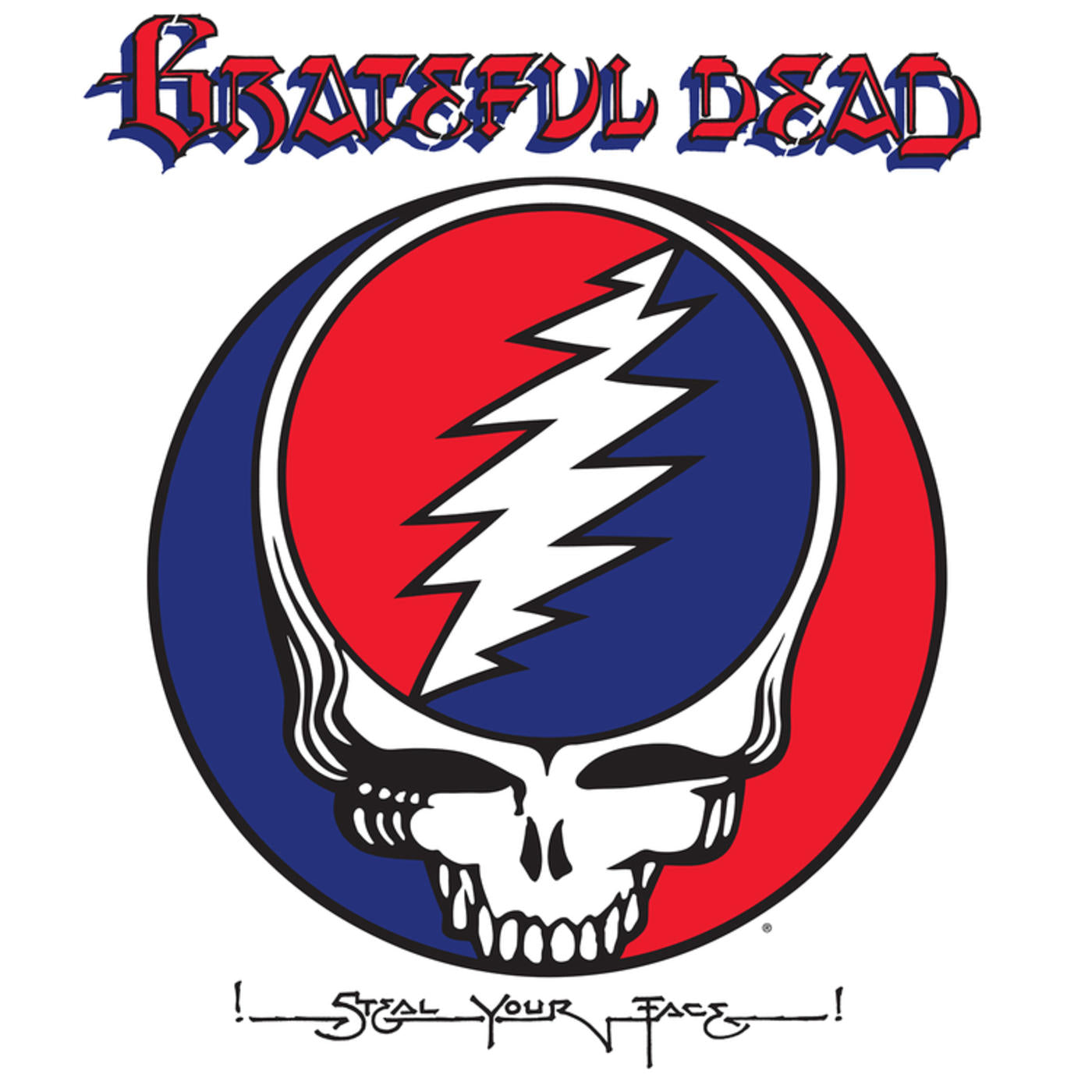 Grateful Dead Steal Your Face LPレコード Grateful Dead - Steal Your Face (spiri Vinyl 2xLP | Relix