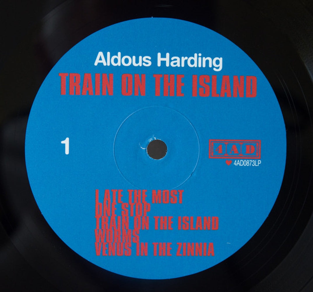 Aldous Harding – Train On The Island (LP Vinyl)