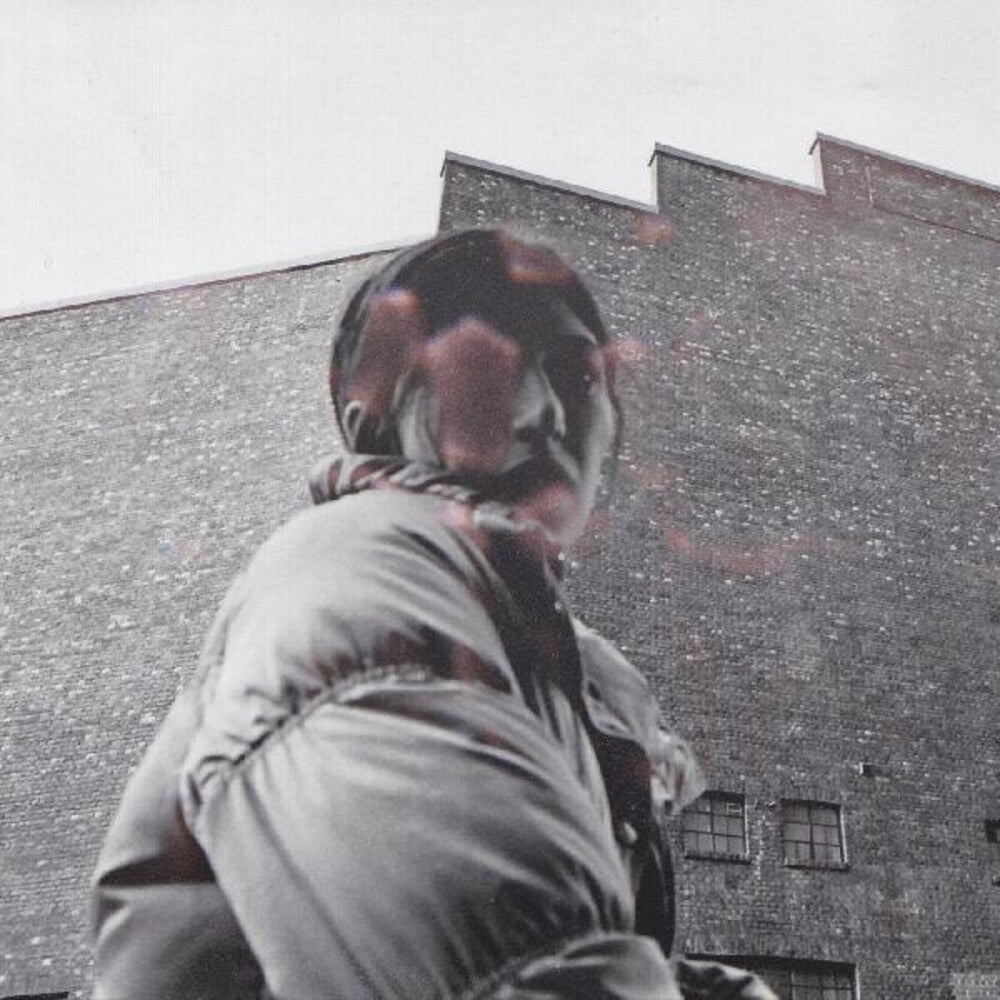 Aldous Harding – Warm Chris (LP Vinyl)
