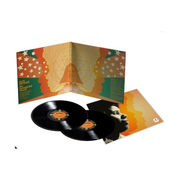 Alice Coltrane – Carnegie Hall Concert (LP Vinyl)