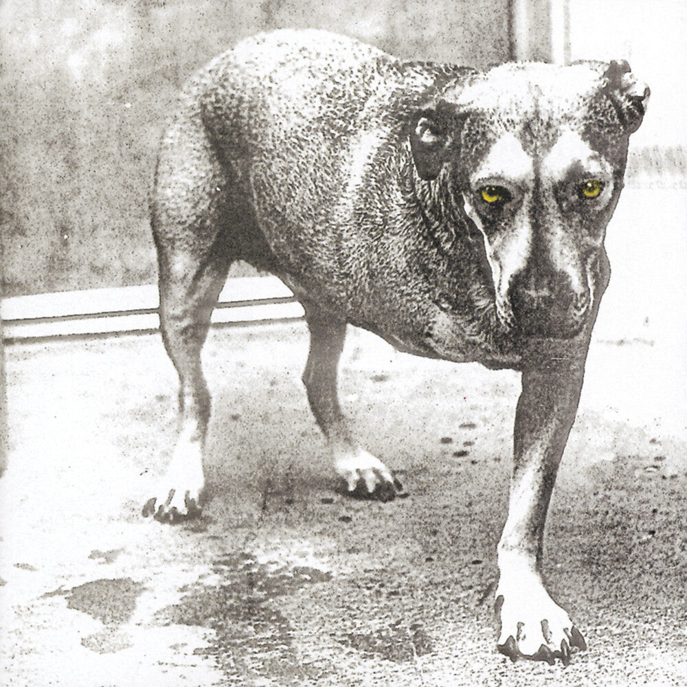 Alice In Chains – Alice In Chains (30th Anniversary Reissue, Colored LP Vinyl)