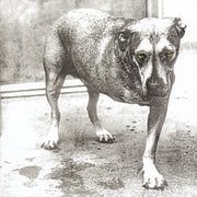 Alice In Chains – Alice In Chains (30th Anniversary Reissue, Colored LP Vinyl)