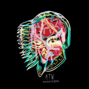 All Them Witches – Nothing As The Ideal (CD)
