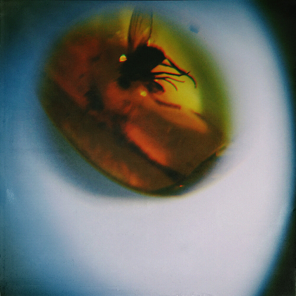 April + VISTA – Traditional Noise (Translucent Fly Green LP Vinyl)