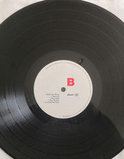 Beastie Boys – Beastie Boys Music (2-LP Vinyl)