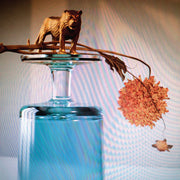 Beirut – Gallipoli (LP Vinyl)