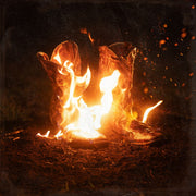Ben Fuller – Walk Through Fire (180 Gram LP Vinyl)