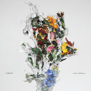 Big/Brave – A Chaos of Flowers (CD)