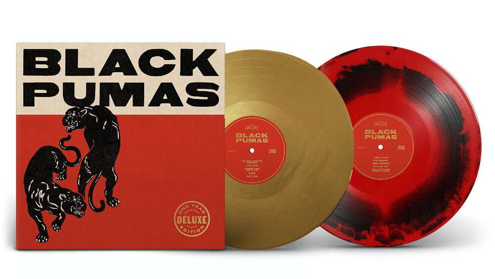 Black Pumas – Black Pumas (2-LP Vinyl)