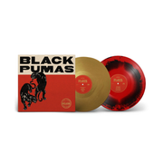 Black Pumas – Black Pumas (2-LP Vinyl)