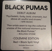 Black Pumas – Black Pumas (LP Vinyl)