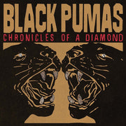 Black Pumas – Chronicles Of A Diamond (CD)