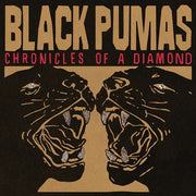 Black Pumas – Chronicles Of A Diamond (LP Vinyl)
