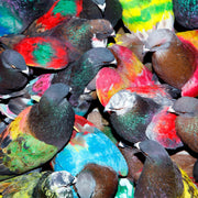 Blawan – Sickelixir (LP Vinyl)