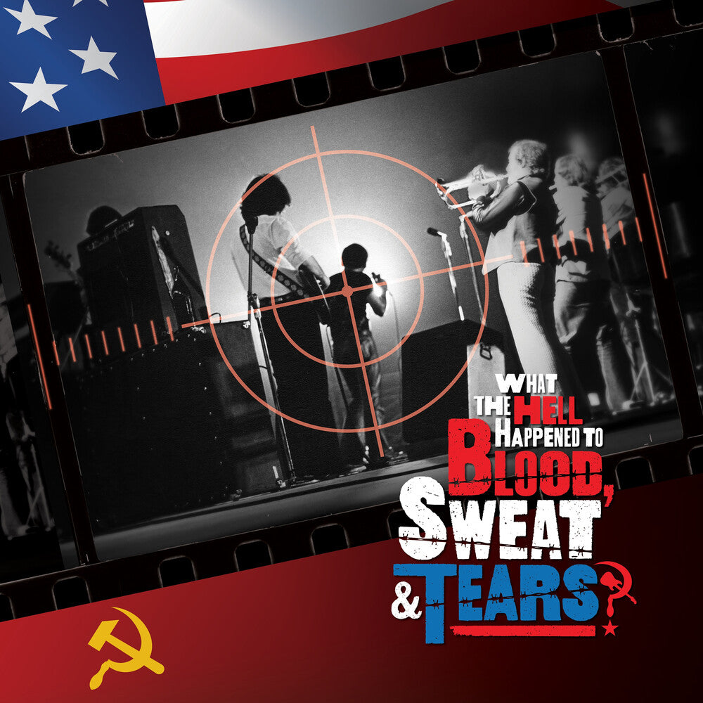 Blood Sweat & Tears (Rex) – What The Hell Happened To Blood Sweat & Tears (LP Vinyl)