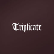 Bob Dylan – Triplicate (3-CD) - Back