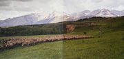 Image: Various Artists – Brokeback Mountain (Original Motion Picture Soundtrack LP Vinyl) Vinyl LP | Relix