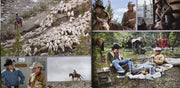 Image 4: Various Artists – Brokeback Mountain (Original Motion Picture Soundtrack LP Vinyl) Vinyl LP | Relix