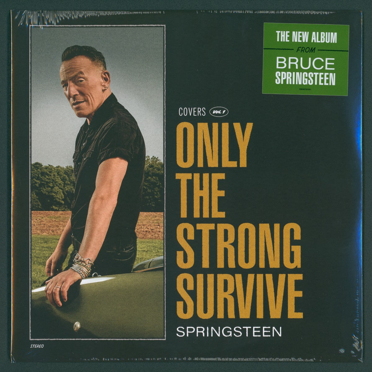 Bruce Springsteen – Only The Strong Survive (2-LP Vinyl) - Back
