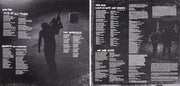 Bruce Springsteen – Wrecking Ball (2-LP Vinyl) - Close-Up