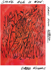 Caleb Nichols – Stone Age Is Now: Poems From Lithic (CD)