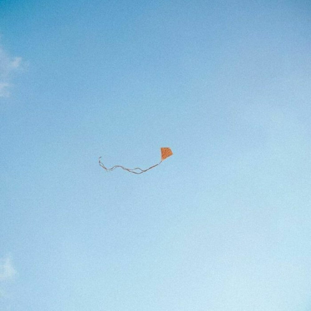 Chris Stussy – Lost Found & Forgotten (LP Vinyl)