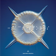 Contact Sports – Contact Sports (CD)
