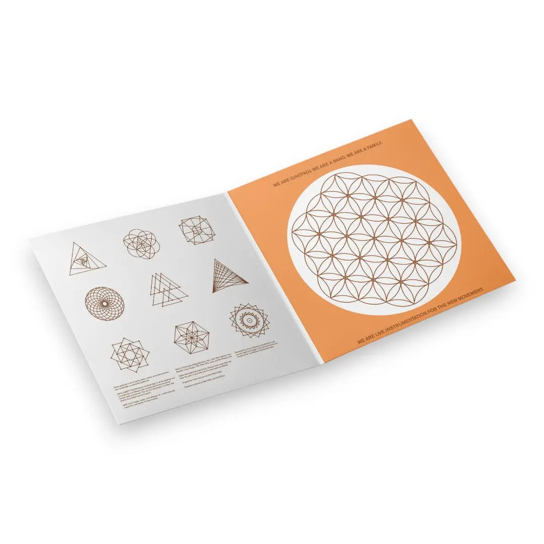 DJNOTADJ – Deep Roots in Shallow Ground (Orange Swirl LP Vinyl)