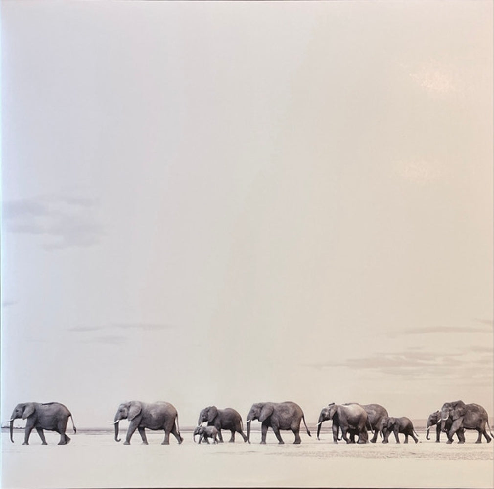 Dave Matthews Band – Where Are You Going: The Singles (2-LP Vinyl)