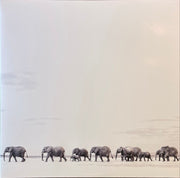 Dave Matthews Band – Where Are You Going: The Singles (2-LP Vinyl)