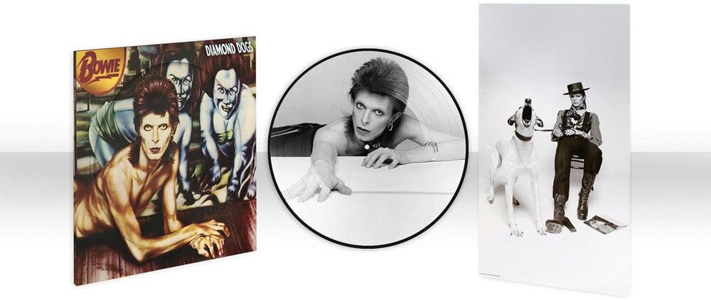 David Bowie – Diamond Dogs (50th Anniversary Picture Disc LP Vinyl)