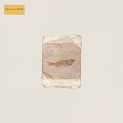 Do Nothing – Friend World (CD)