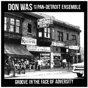 Don Was – Groove In The Face Of Adversity (LP Vinyl)