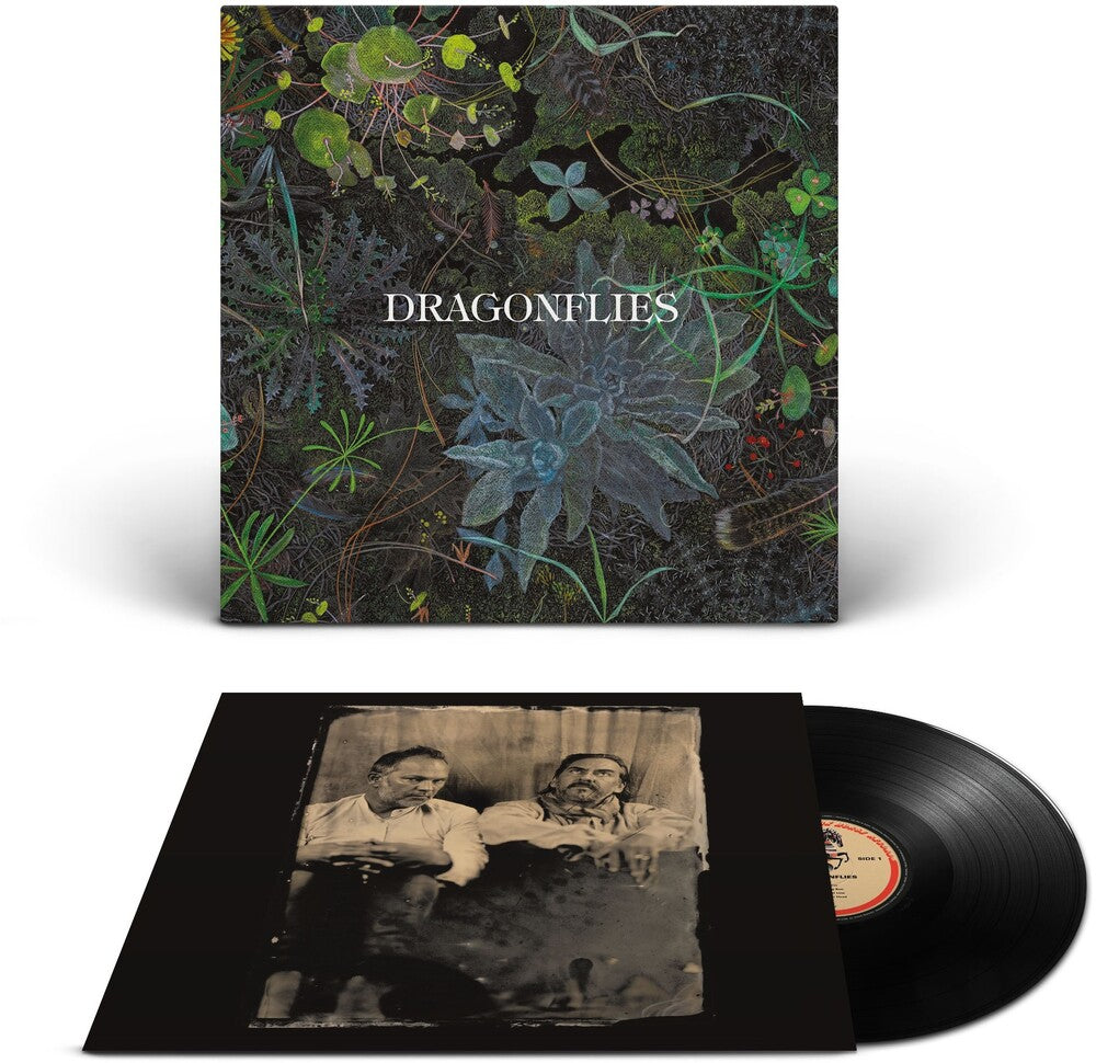 Dragonflies – Dragonflies (Black LP Vinyl)