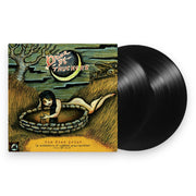 Drive-By Truckers – The Fine Print, A Collection of Oddities and Rarities 2003–2008 (2-LP Vinyl)