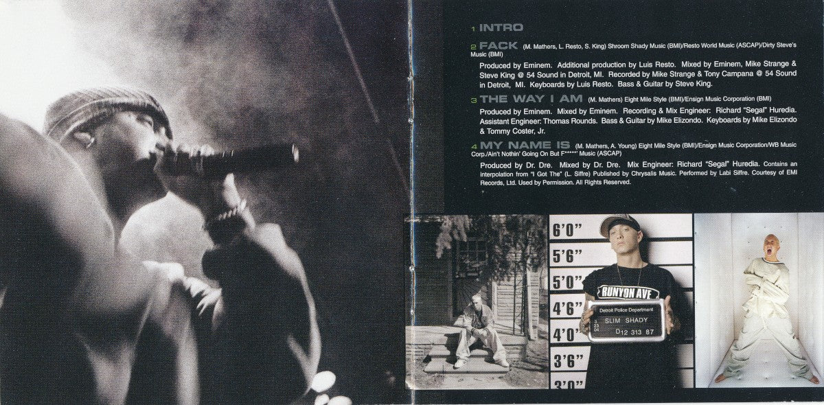Eminem – Curtain Call: The Hits (CD)