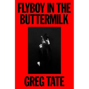 Flyboy in the Buttermilk: Essays on Contemporary America - Hardcover