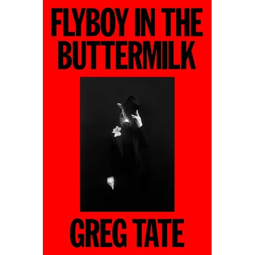 Flyboy in the Buttermilk: Essays on Contemporary America - Hardcover