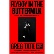 Flyboy in the Buttermilk: Essays on Contemporary America - Paperback