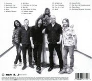 Foo Fighters – The Essential Foo Fighters (CD)